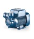 Pedrollo PQm 60 0.5 HP | %EAN13%