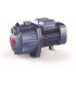 Eletrobomba Pedrollo 3CPm 80 0.6 CV