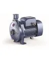 Pedrollo CP 170 1.5 CV