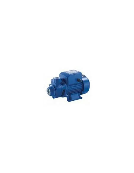 Elettropompa di superficie Termar QB 60 0,5 HP 240V | %EAN13%