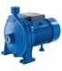 Elettropompa di superficie Termar CPm 180 1,5 HP 240V | %EAN13%