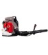 Souffleur à moteur Sportgarden