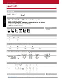 Elektroden 6013 2