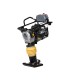 Saltitão Lis SP70 Gasoline engine Locin 168F-2H | %EAN13%