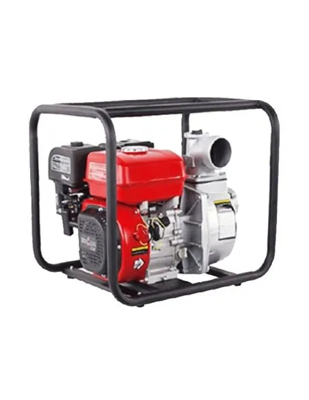 Motopompe 1,5" 6,5 CV 75 M | %EAN13%