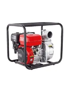 LEO LGP20 2H motor pump