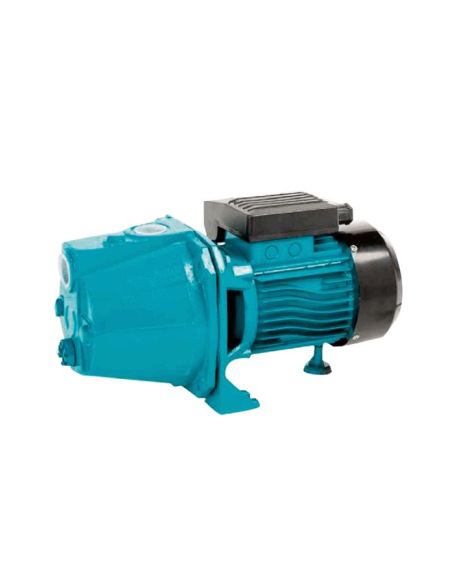 1100 W SportGarden Surface Pump