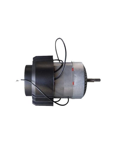 Motor para moinho SportGarden 4T- 1200W