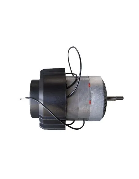 Motor para moinho SportGarden 4T- 1200W | %EAN13%