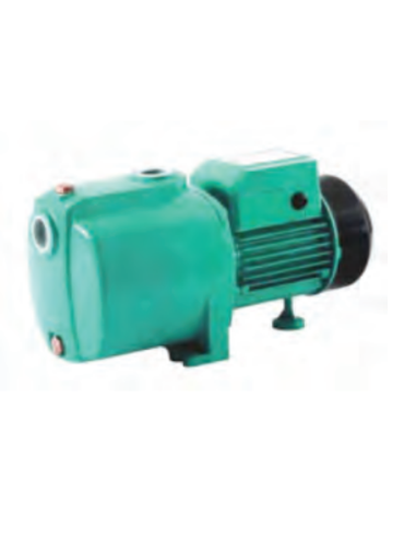 LEO 4XCm 80 240V-0.8HP surface electric pump