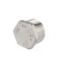 Male Cap in Stainless Steel Aisi 316 - 3/4"