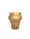 Bottom of Well Valve (without Spring) Brass 2.1/2”
