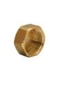 Tampão em Latão F- 1”