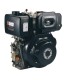 Moteur Diesel KIPOR KM186FG3 - Monocylindre - 9,1 cv - 406 cc | %EAN13%